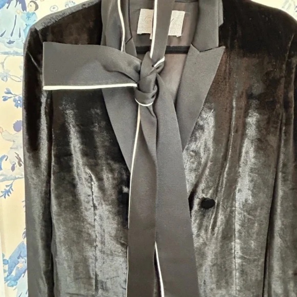 Grey Velvet Ladies Smoking Jacket/Dress - Picture 8 of 12